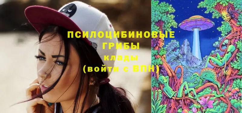 Галлюциногенные грибы Magic Shrooms  цены   Карабаново 